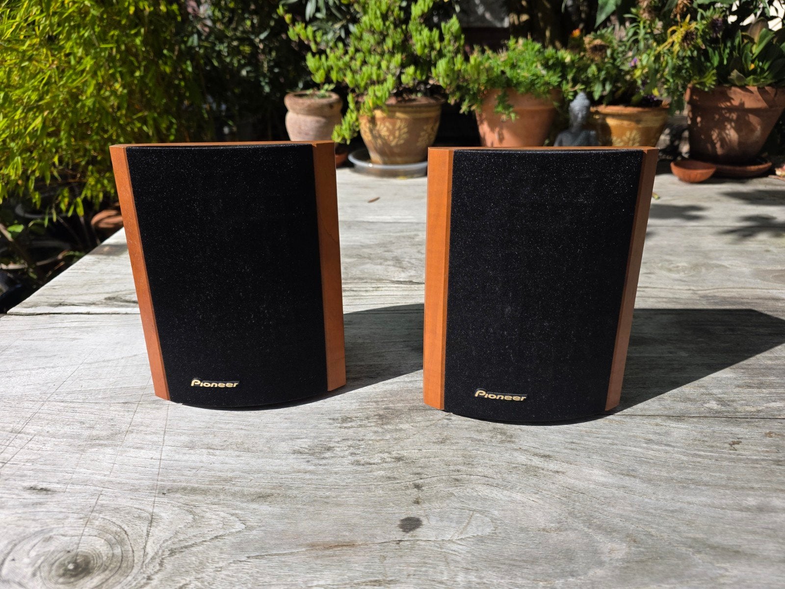 Pioneer boxen