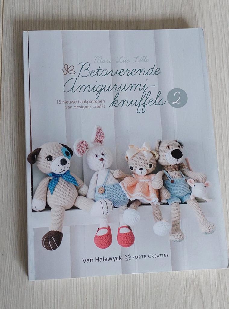 Haakboek, Hobby en Vrije tijd, Breien en Haken, Ophalen of Verzenden, Nieuw, Haken, Patroon of Boek