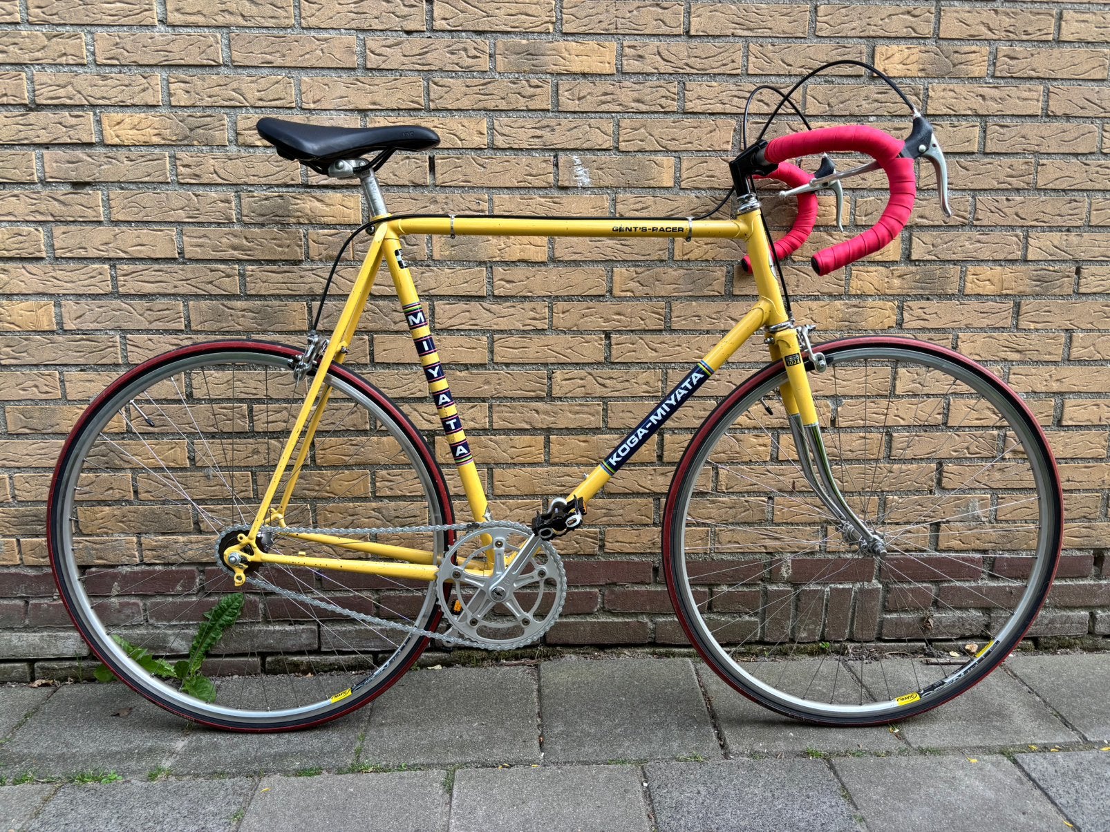 Koga-Miyata Singlespeed stadsracer, 55 tot 59 cm, Ophalen
