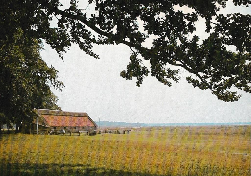 Ede    172, Verzamelen, Ophalen of Verzenden, Voor 1920, Gelderland