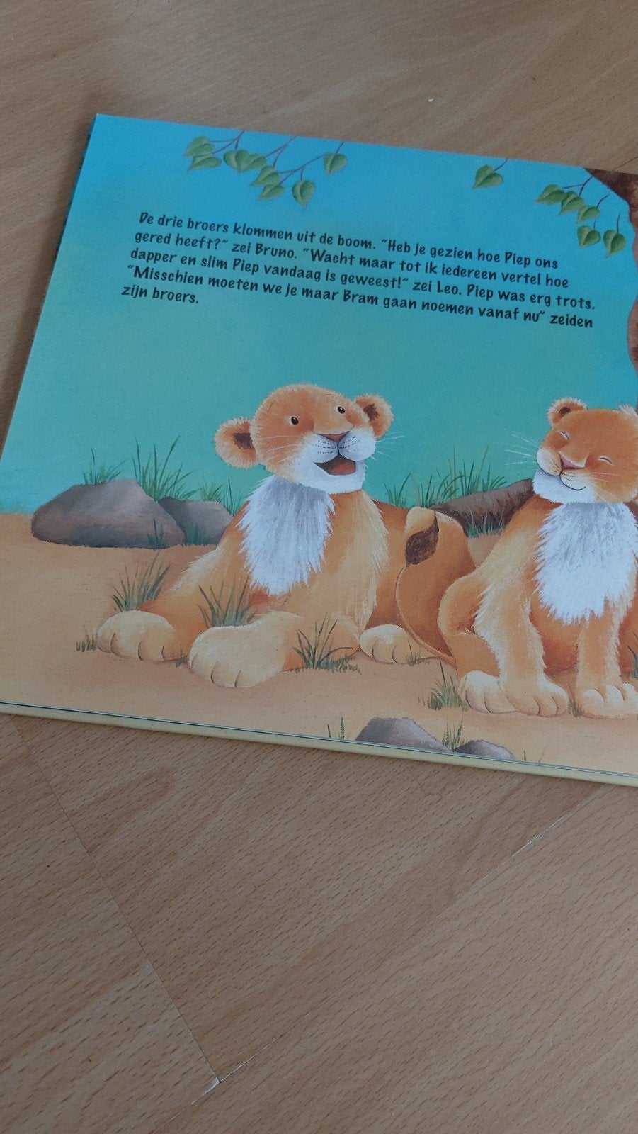 Te koop piep de leeuw, Ophalen of Verzenden, Zo goed als nieuw