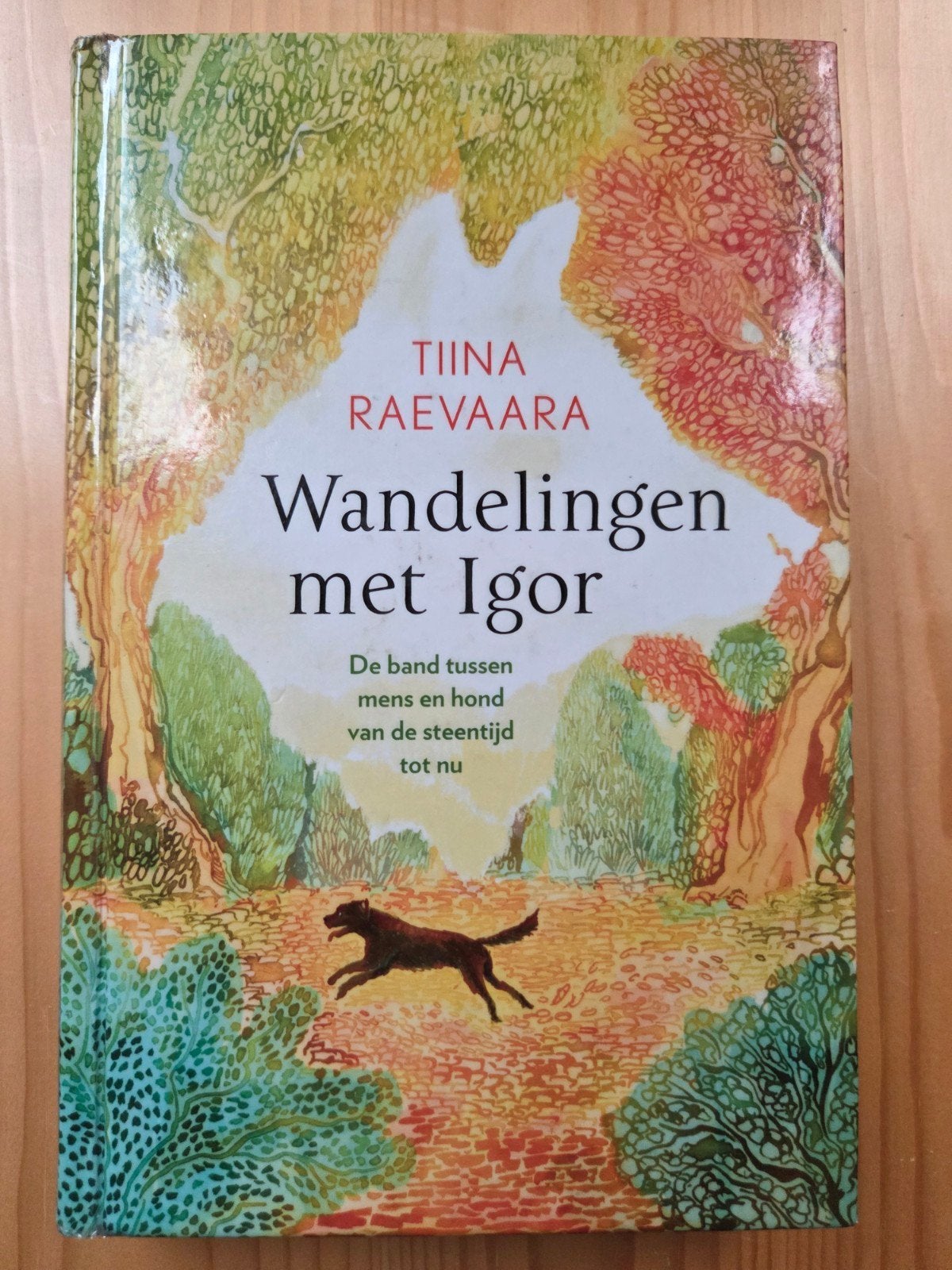 Tiina Raevaara - Wandelingen met Igor, Ophalen of Verzenden, Gelezen, Tiina Raevaara