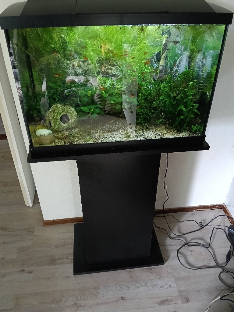 Aquarium zgan met meubel en toebehoren, Ophalen, Superfish, Inclusief deksel, Gevuld zoetwateraquarium