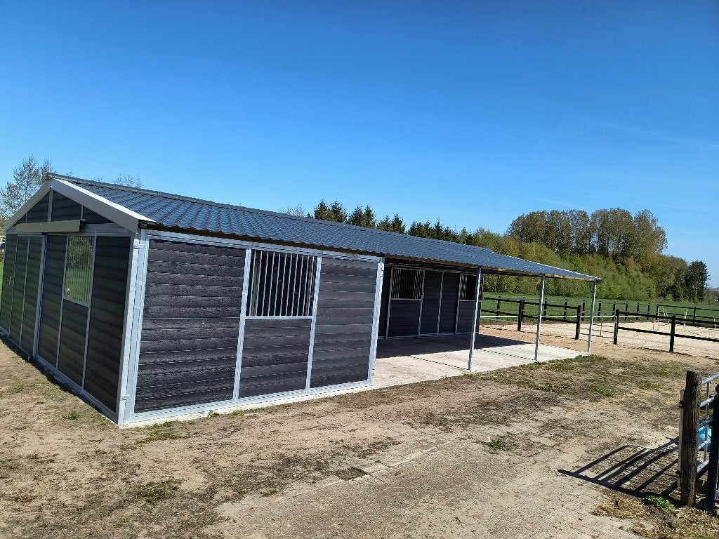 Pensionstalling  aan huis aangeboden, Dieren en Toebehoren, Niet van toepassing, 7 tot 10 jaar, Meerdere dieren, Recreatiepaard
