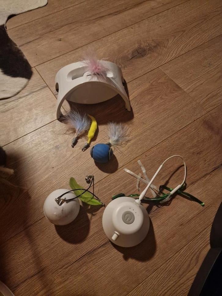 Deels interactief speelgoedpakket voor kittens twv €115, Ophalen of Verzenden, Nieuw, Overig speelgoed