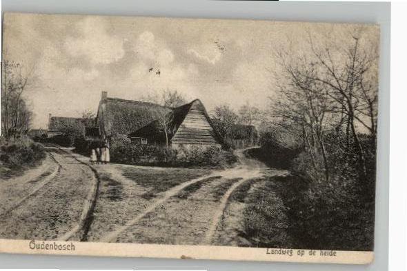 Oudenbosch Landweg op de heide kleinrd NIEUWE NIEDORP 1905, Verzenden, Voor 1920, Gelopen, Noord-Brabant