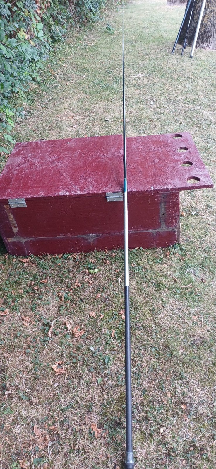 Vaste Stok Hengel 3 Meter - Ideaal voor beginners, Ophalen, Gebruikt, Vaste hengel