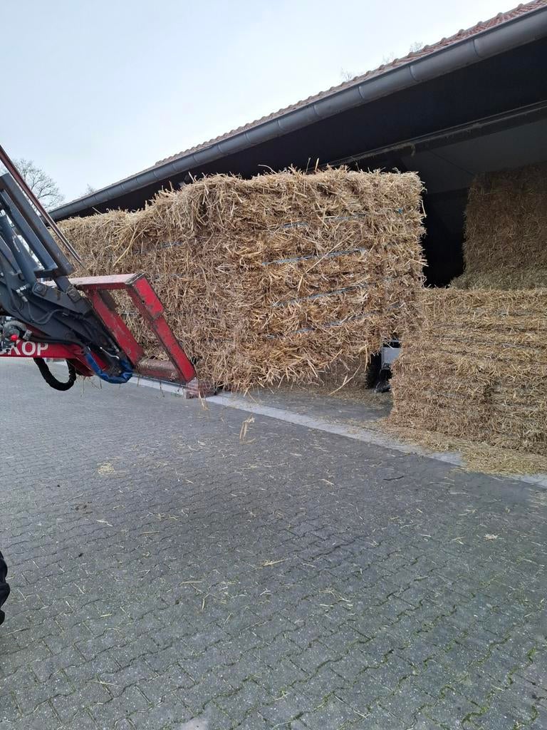 Kleine balen stro in bundel van 21, Ophalen of Verzenden, Vee