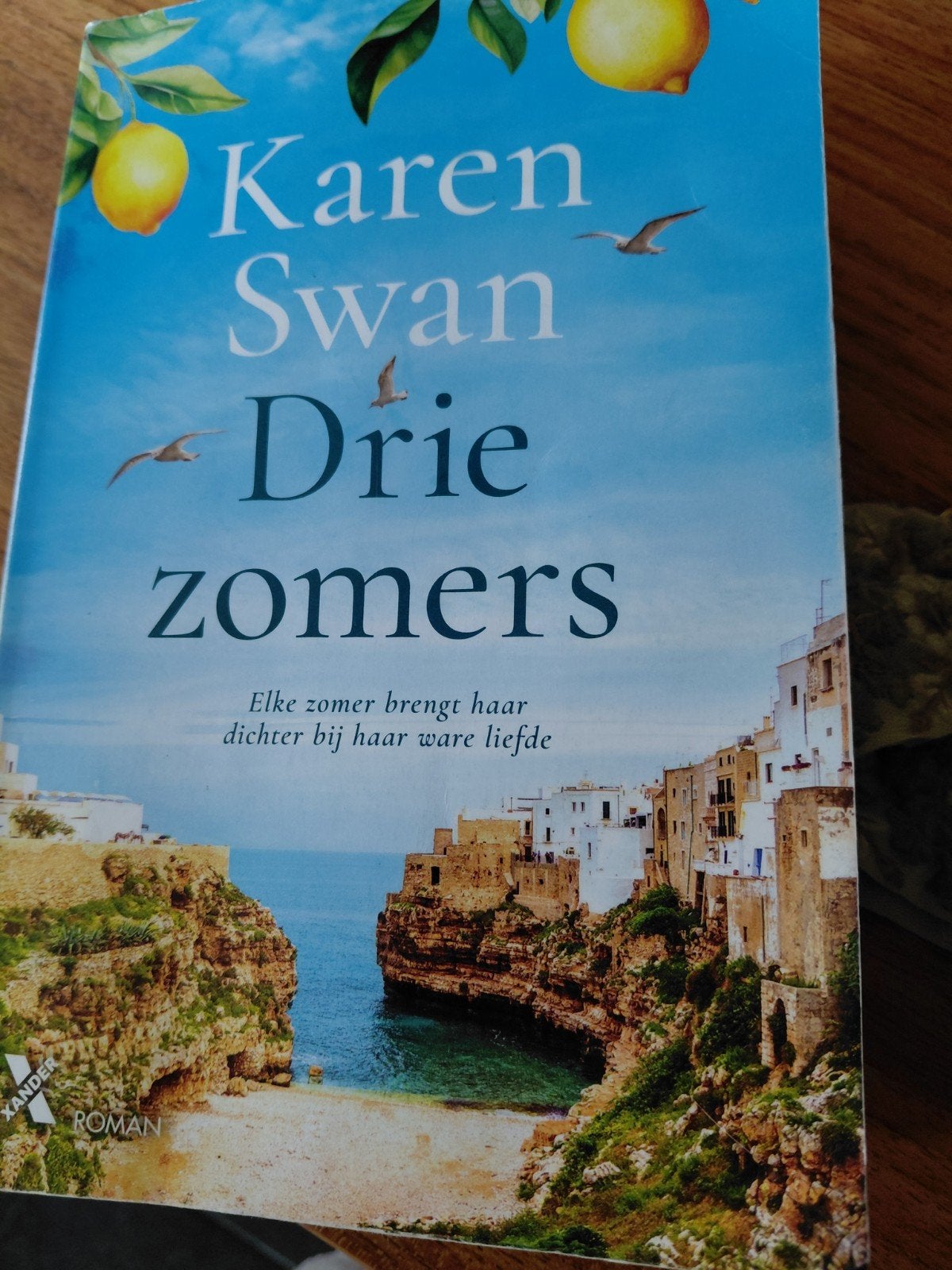romantische roman, Ophalen of Verzenden, Zo goed als nieuw, Karen Swan