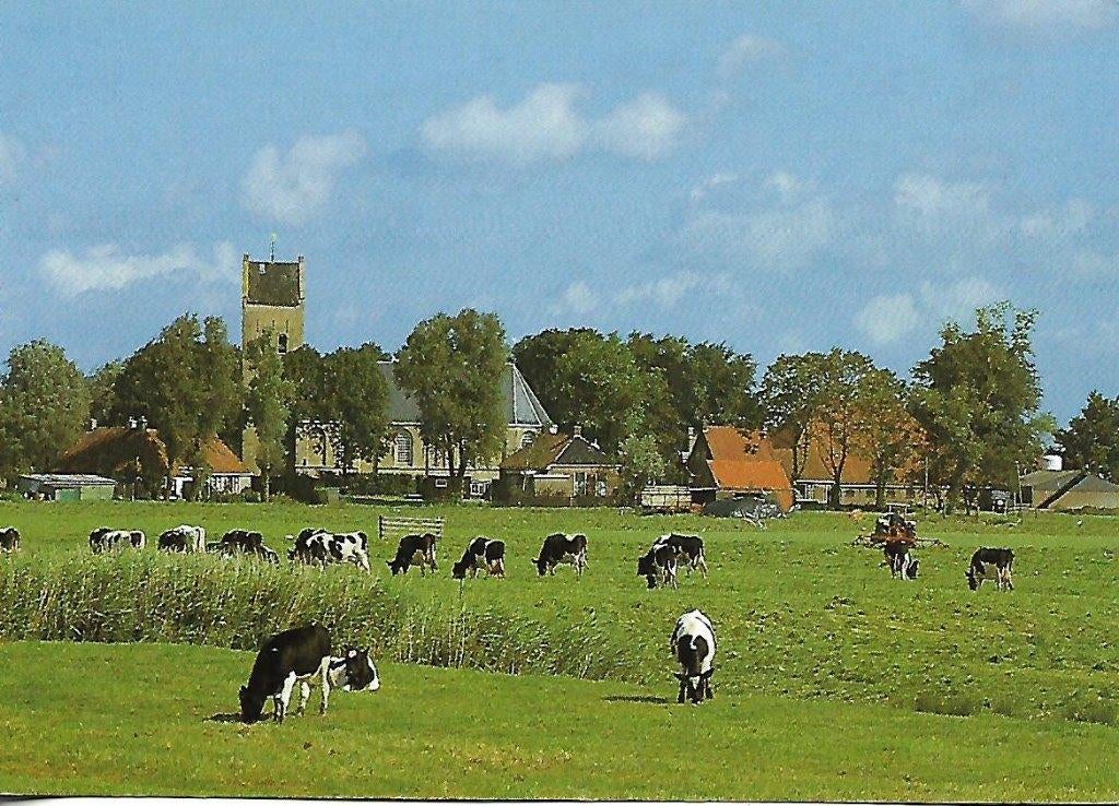 Friesland- -Fries landschap., Verzenden, 1980 tot heden, Gelopen, Friesland
