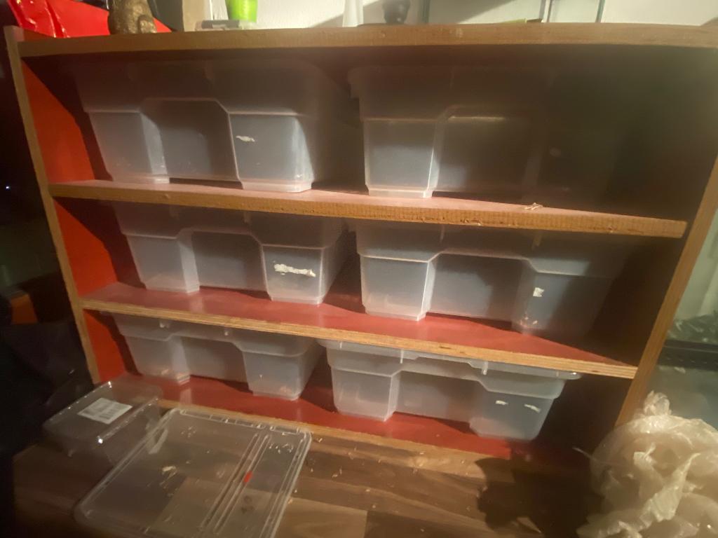 Betonplex Rack, Dieren en Toebehoren, Ophalen, Zo goed als nieuw, Terrarium of Paludarium