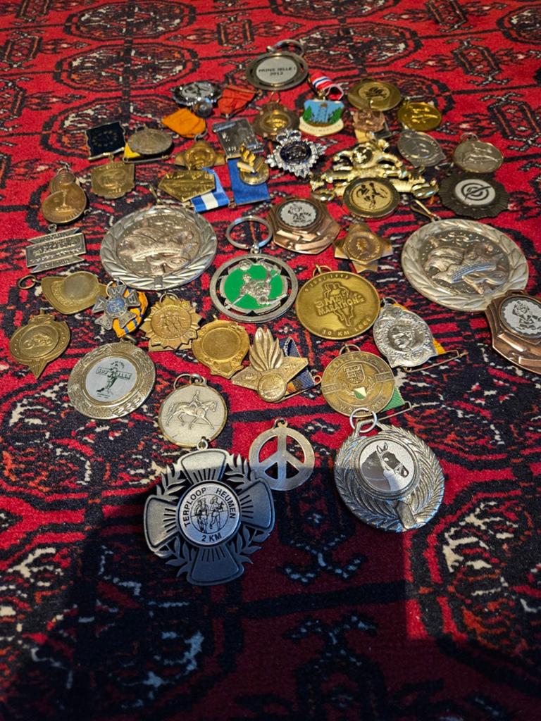 Grote collectie diverse medailles en speldjes, Ophalen, Overige typen