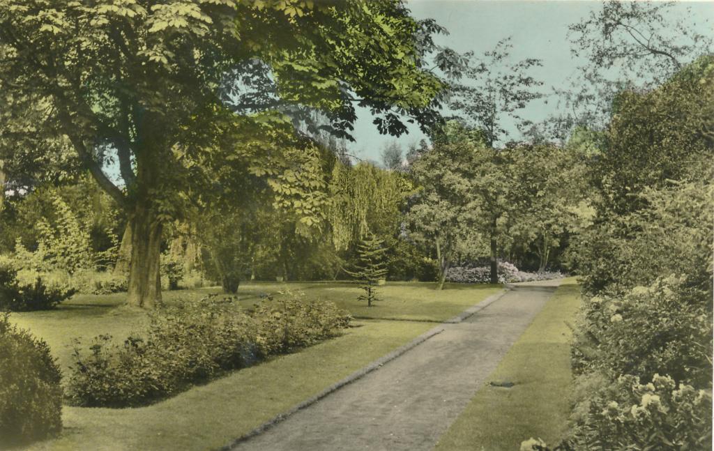 9832  Johannes Stichting Nieuwveen Wandeltuin, Verzamelen, Ophalen of Verzenden, 1940 tot 1960, Zuid-Holland