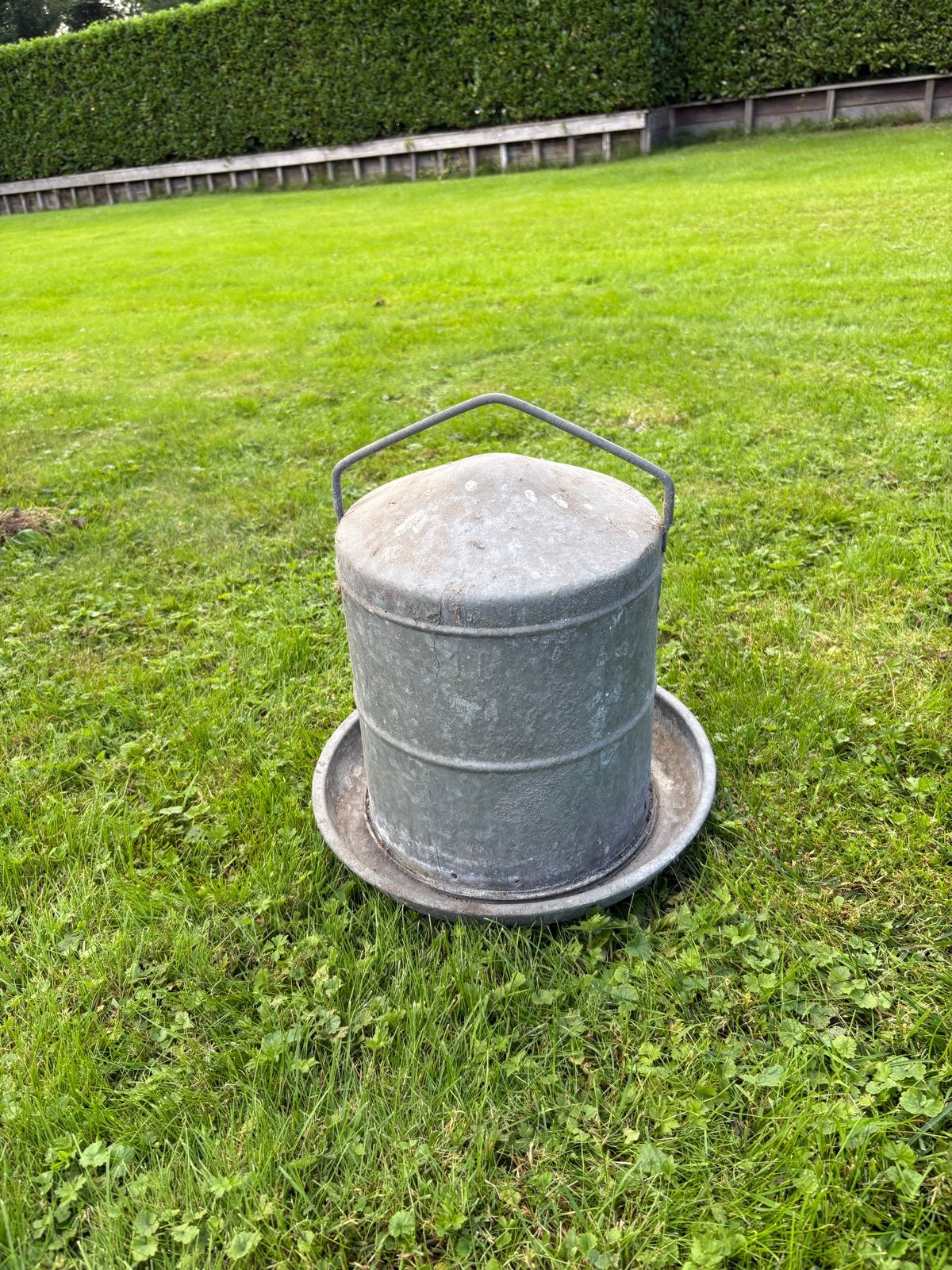 Gegalvaniseerde drinktoren/waterbak kippen, Ophalen, Gebruikt, Drinken en Voederen