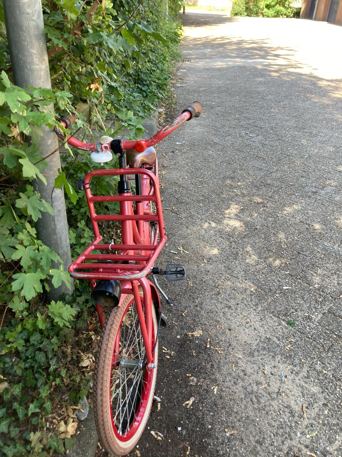 Meisjesfiets 20 inch - Gebruikt, met gebruikersschade, Fietsen en Brommers, Fietsen | Meisjes, Ophalen of Verzenden, Gebruikt