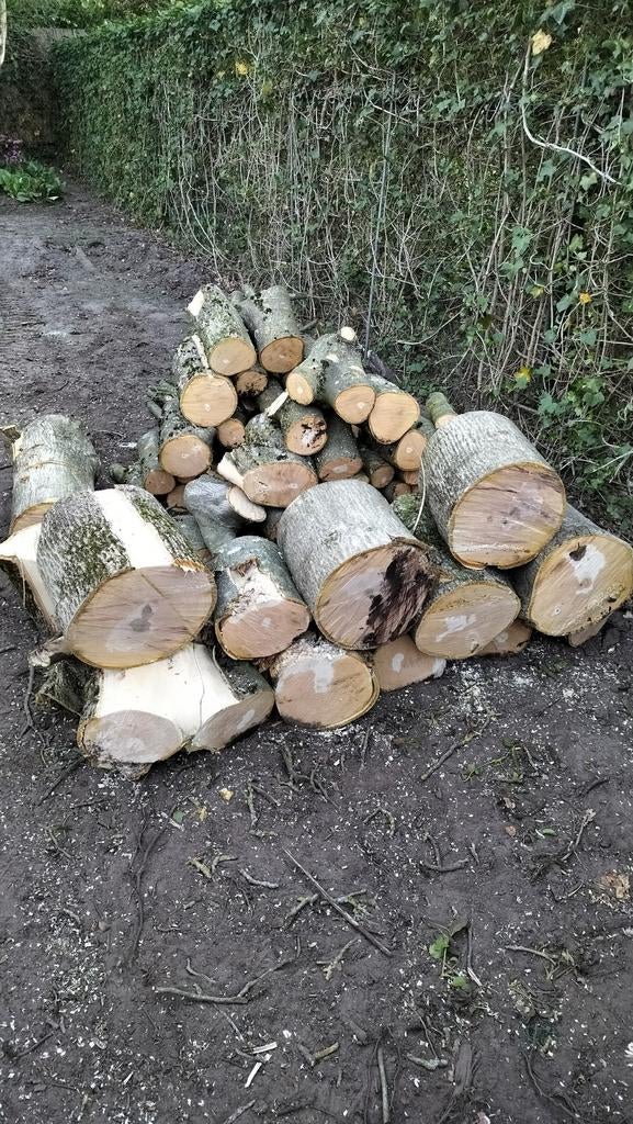 Vers gezaagd notenhout 28/04, Minder dan 3 m³, Ophalen, Overige houtsoorten, Blokken