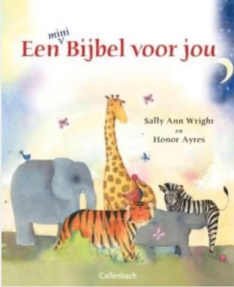 Eeen mini Bijbel voor jou *, Boeken, Godsdienst en Theologie, Zo goed als nieuw, Christendom | Protestants, Ophalen of Verzenden