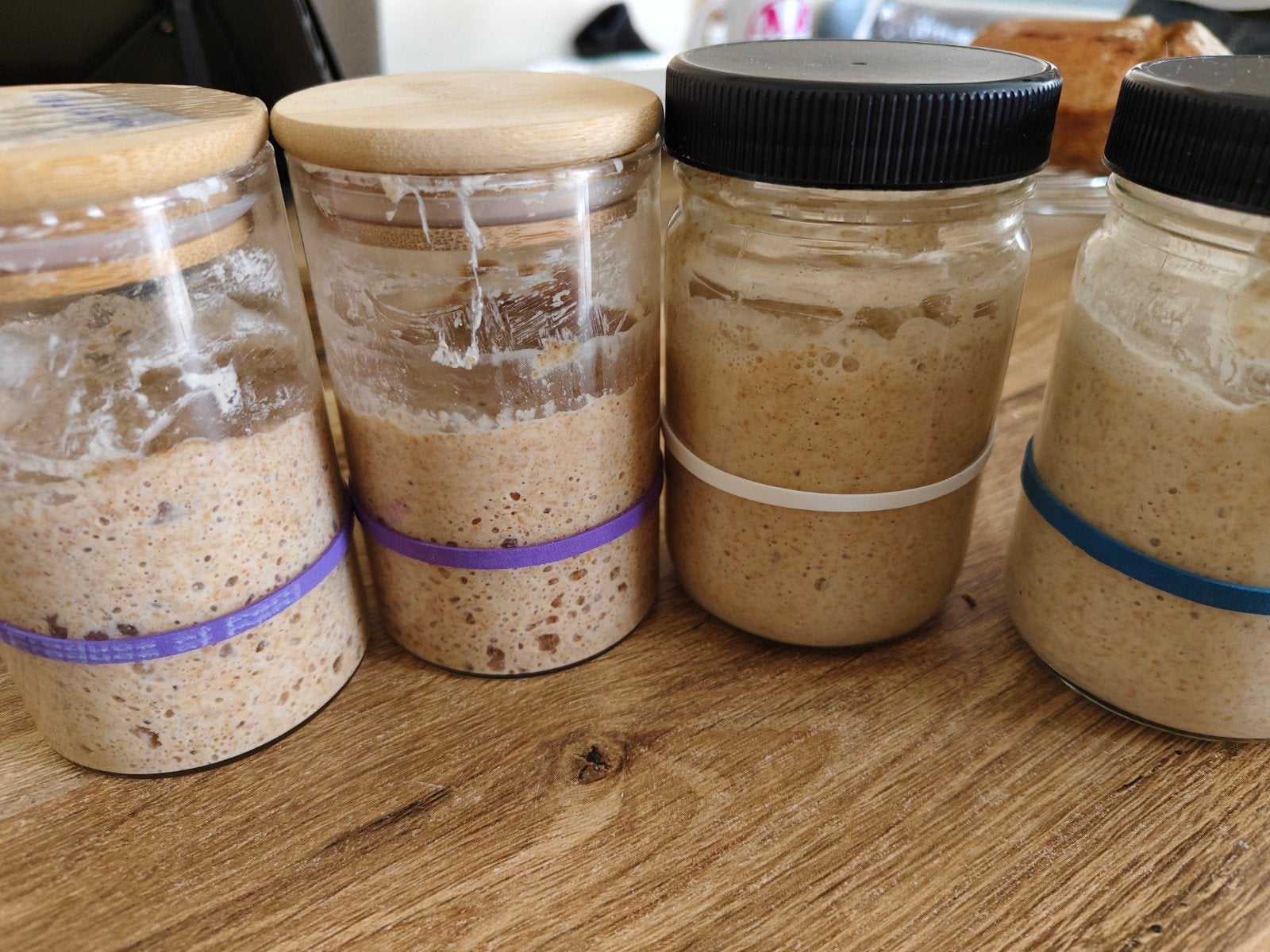 Sourdough starter, Ophalen of Verzenden