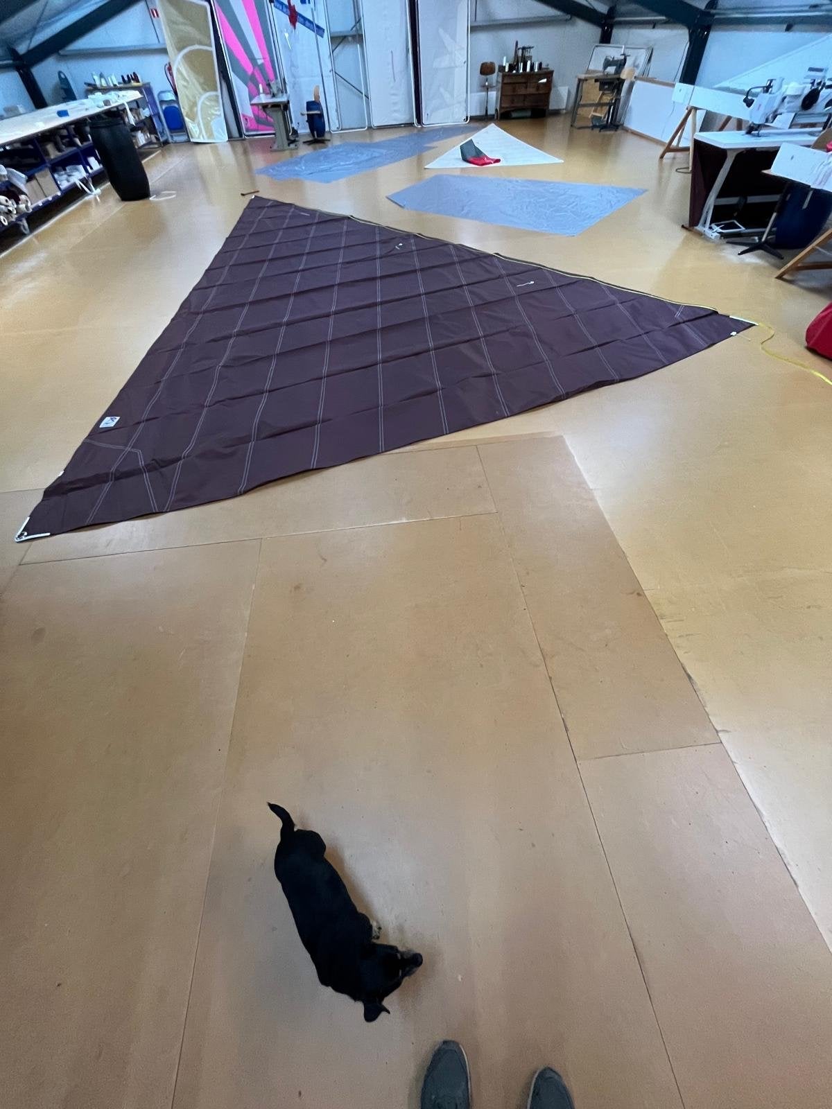 Nieuw rolgenua bruin dacron Den Boer Sails, 30 tot 60 m², 6 meter of meer, Nieuw, Ophalen of Verzenden