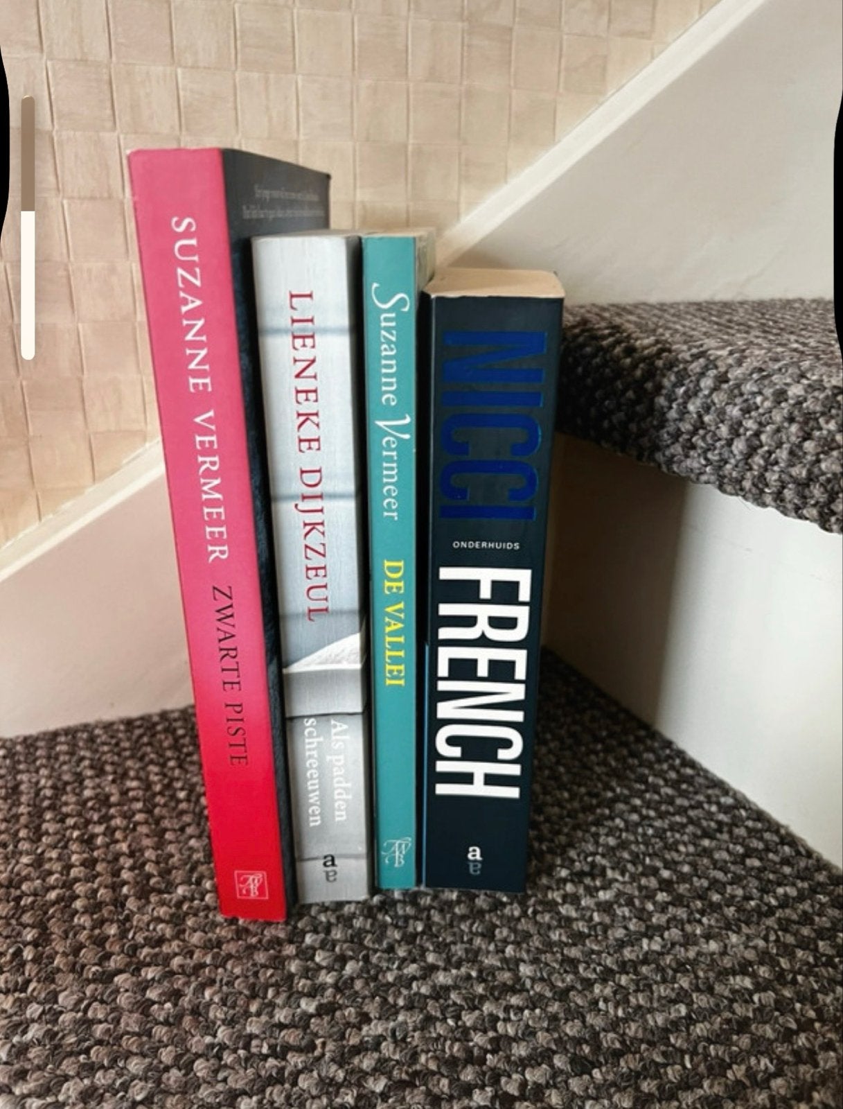 Boekenpakket: Suzanne Vermeer, Lieneke Dijkzeul, Nicci Frenc, Ophalen of Verzenden, Gelezen, Nederland