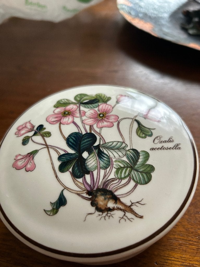 prachtige Villeroy & Boch "Botanica"dekseldoos, Huis en Inrichting, Ophalen of Verzenden, Zo goed als nieuw, Overige stijlen, Porselein