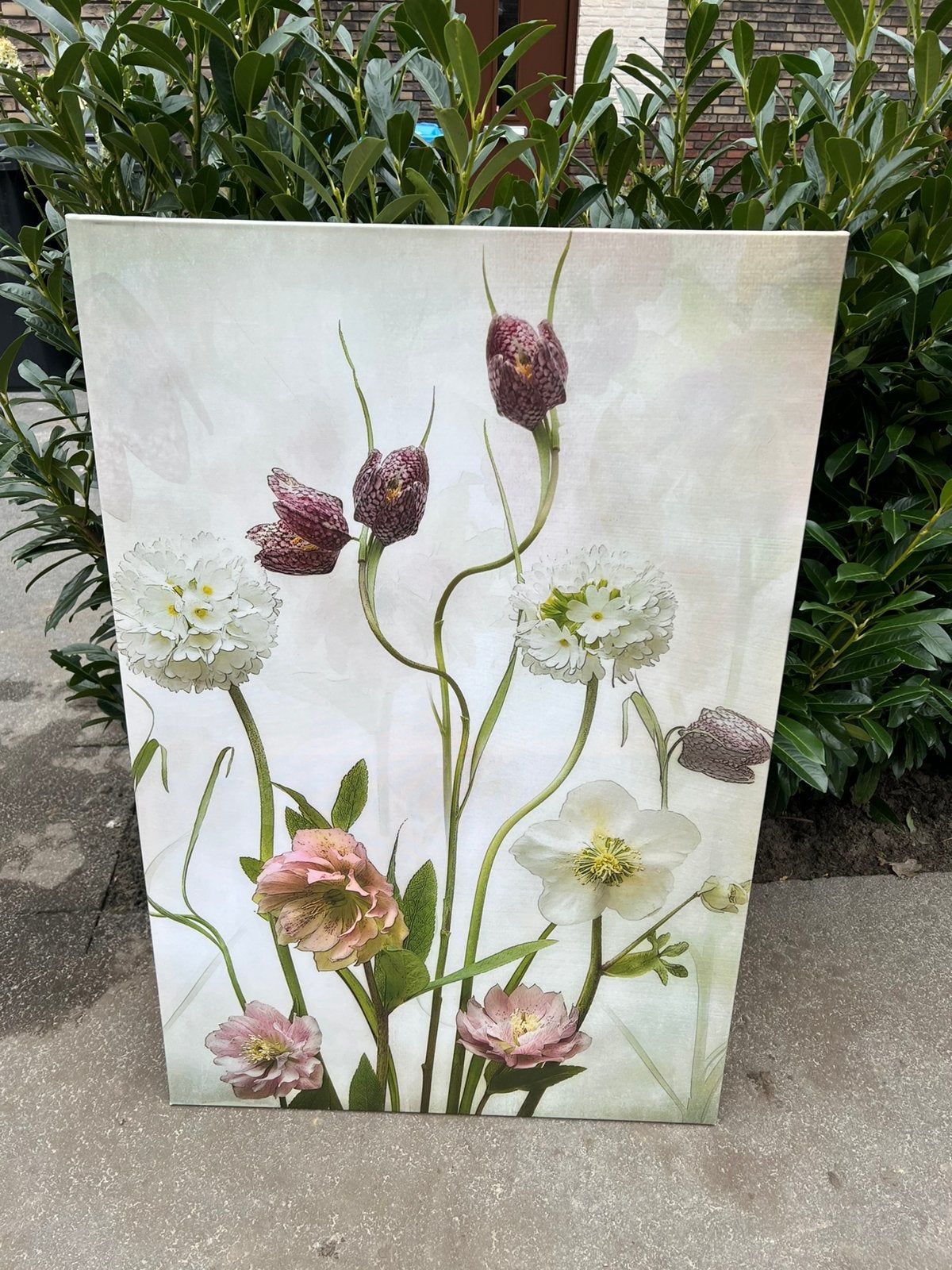 Canvas bloemen xl afhaal €10, Ophalen, Nieuw