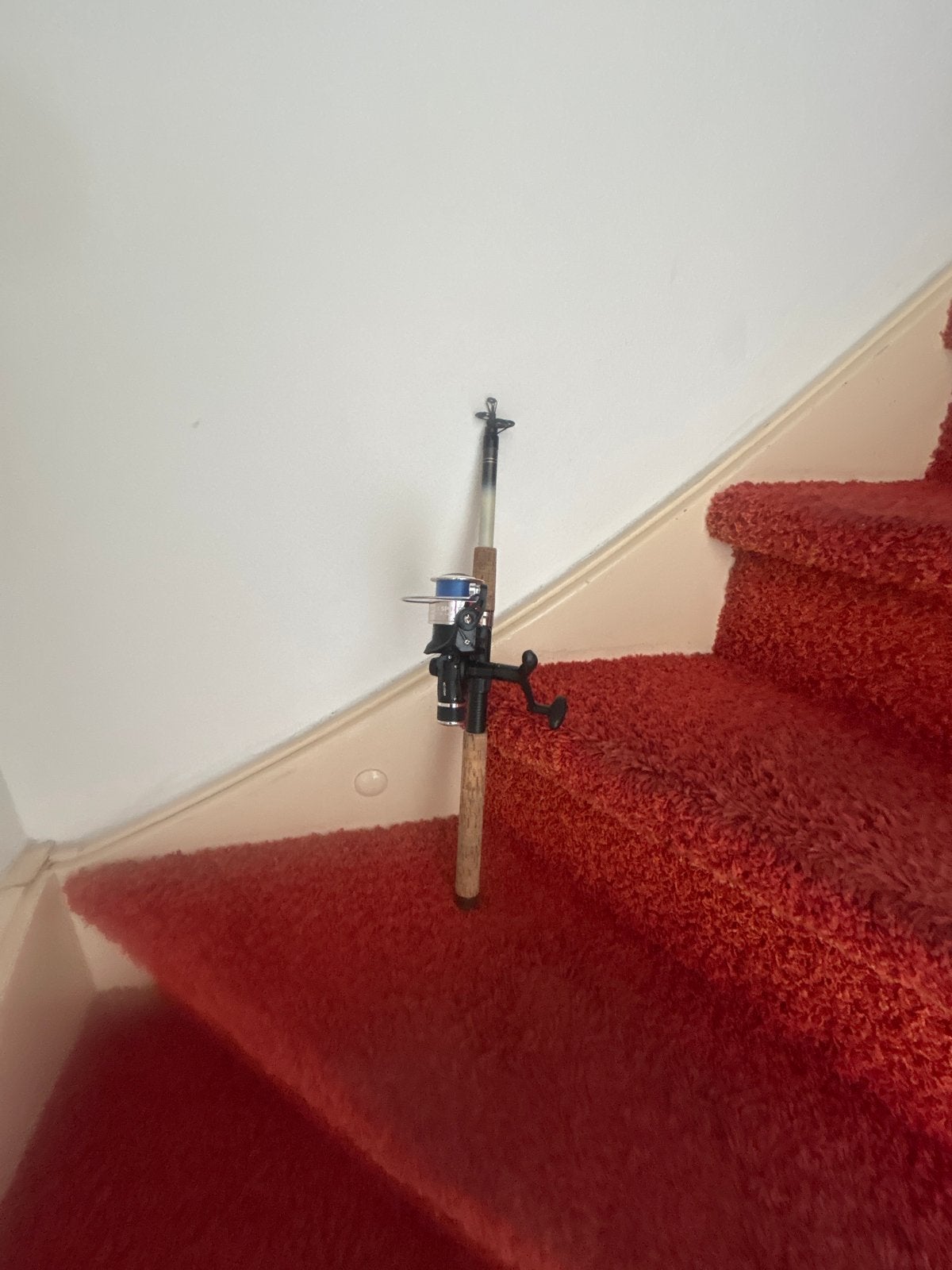 Compacte vishengel met molen - Ideaal voor forel, Ophalen of Verzenden, Zo goed als nieuw, Complete hengel