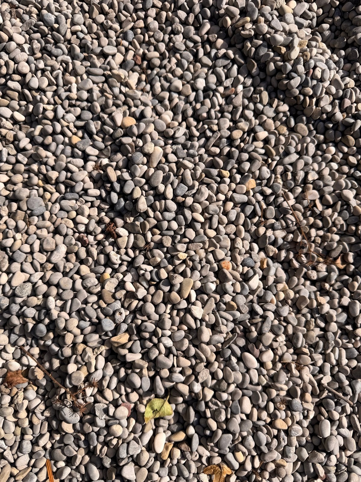 Grind voor tuin of oprit - meer dan 15 kuub beschikbaar, Ophalen of Verzenden, Gebruikt, Grijs, Grind