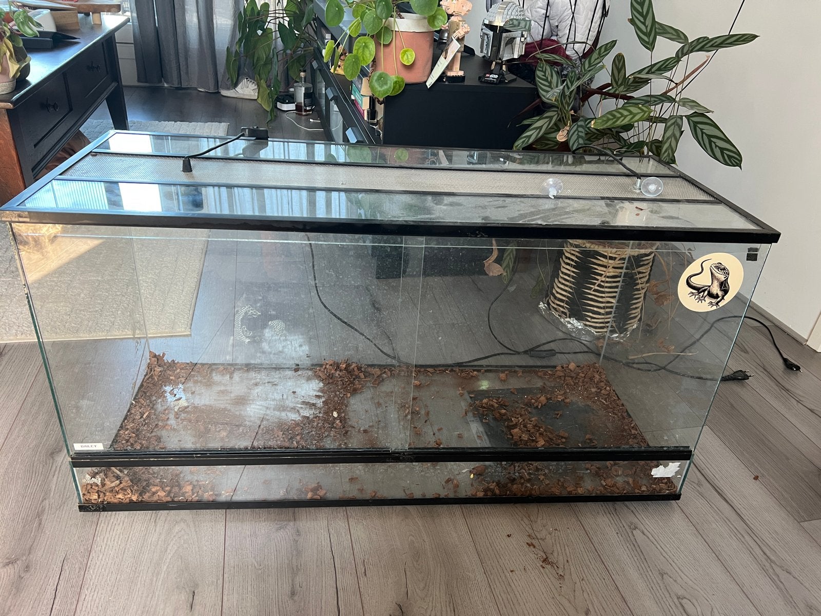 Terrarium 100x50x40, Ophalen