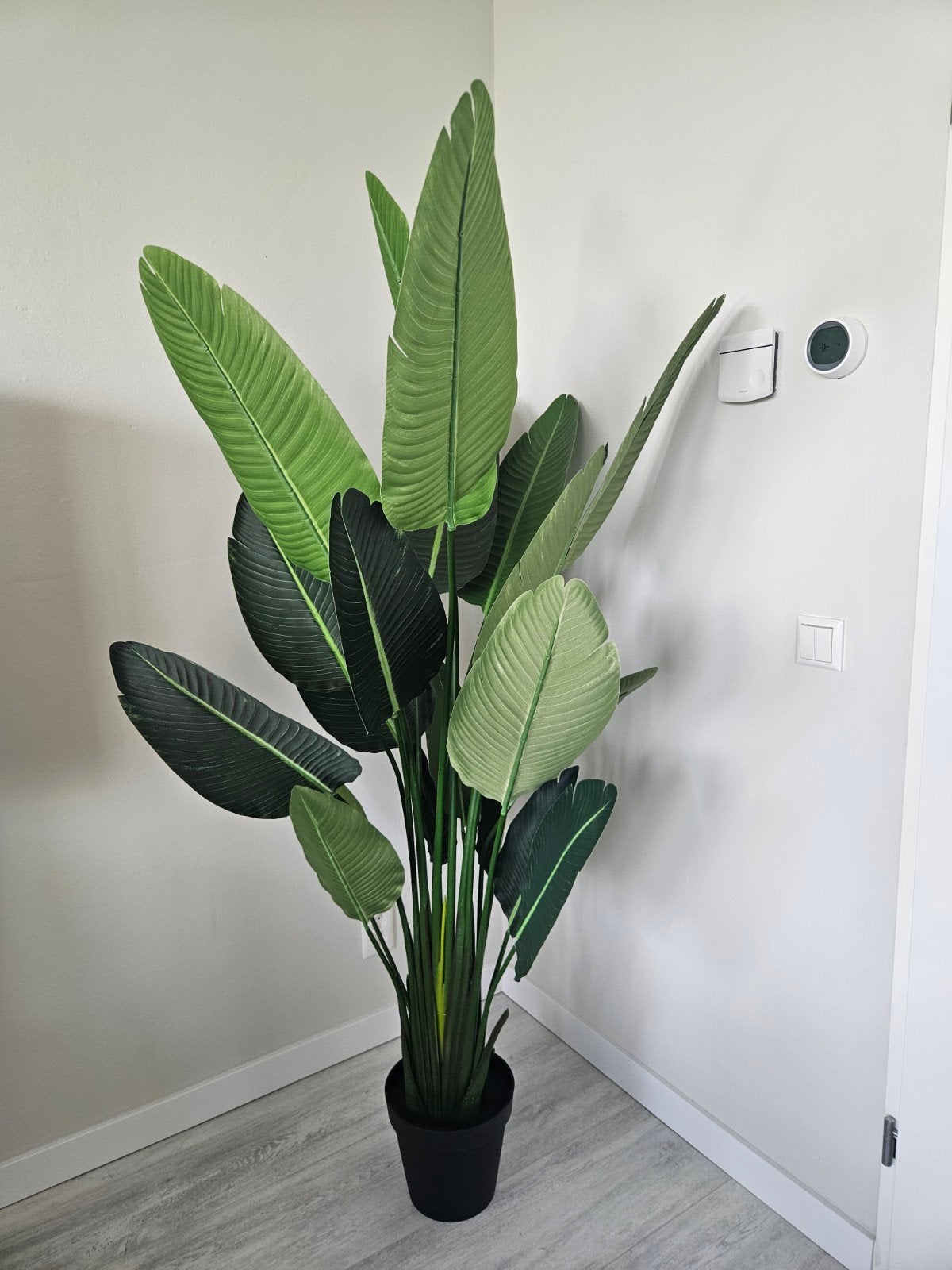 NIEUW Kunstplant Strelitzia XXL, 180 cm, Ophalen, Halfschaduw, 150 tot 200 cm