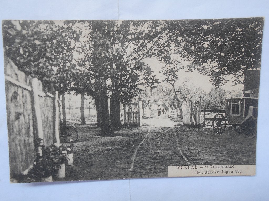 Duindal 's-Gravenhage tel 833 Scheveningen rond 1930, Ophalen of Verzenden, 1920 tot 1940, Gelopen, Zuid-Holland