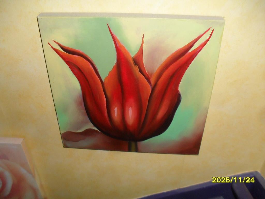 3 Leuke, Vrolijke, Schilderijen, 2 x Tulp en 1 x Een Roos., Minder dan 50 cm, Ophalen of Verzenden, Zo goed als nieuw, Schilderij