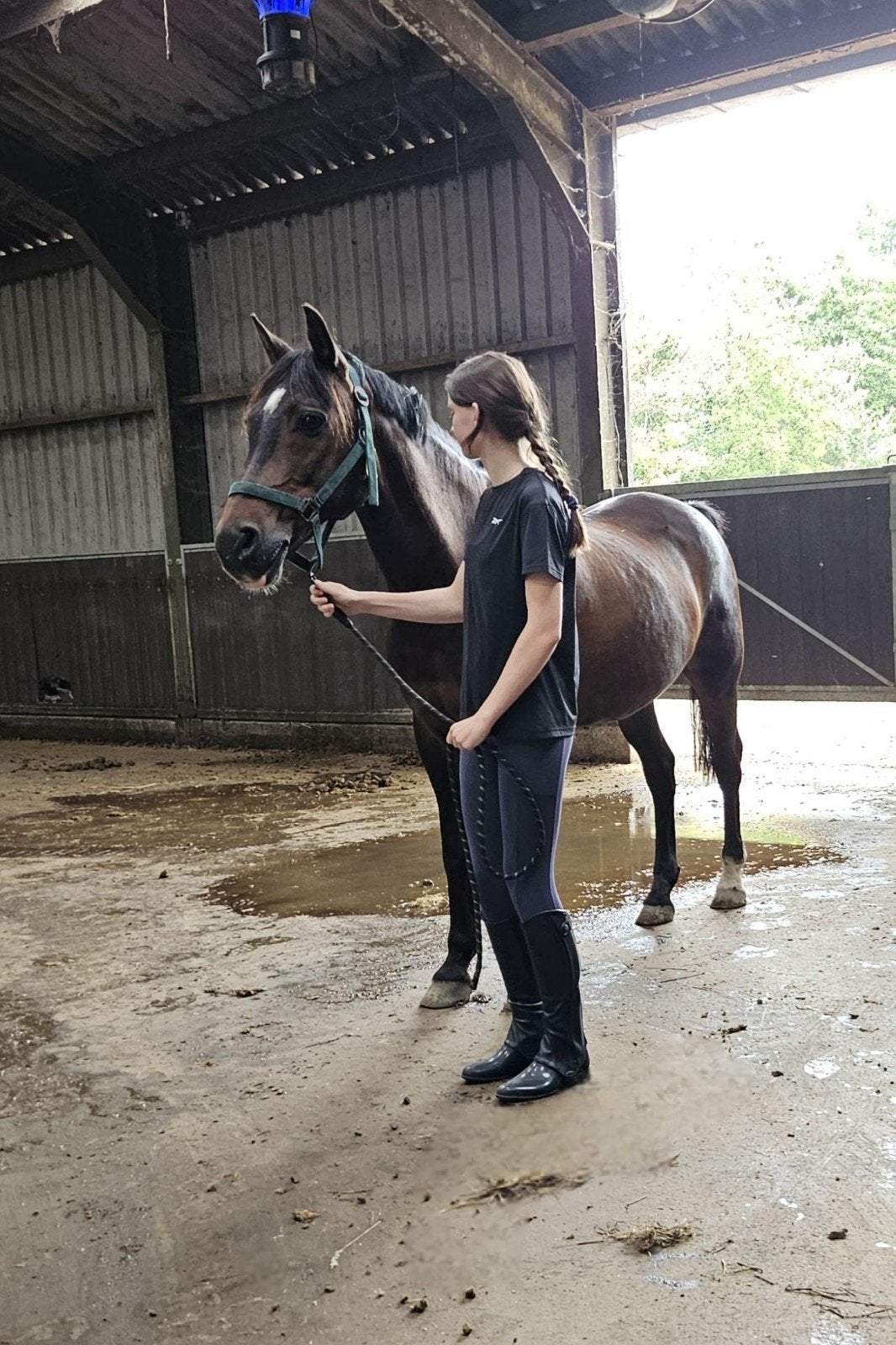 Verzorger/bijrijder aangeboden!, Dieren en Toebehoren, Ophalen of Verzenden, Nieuw