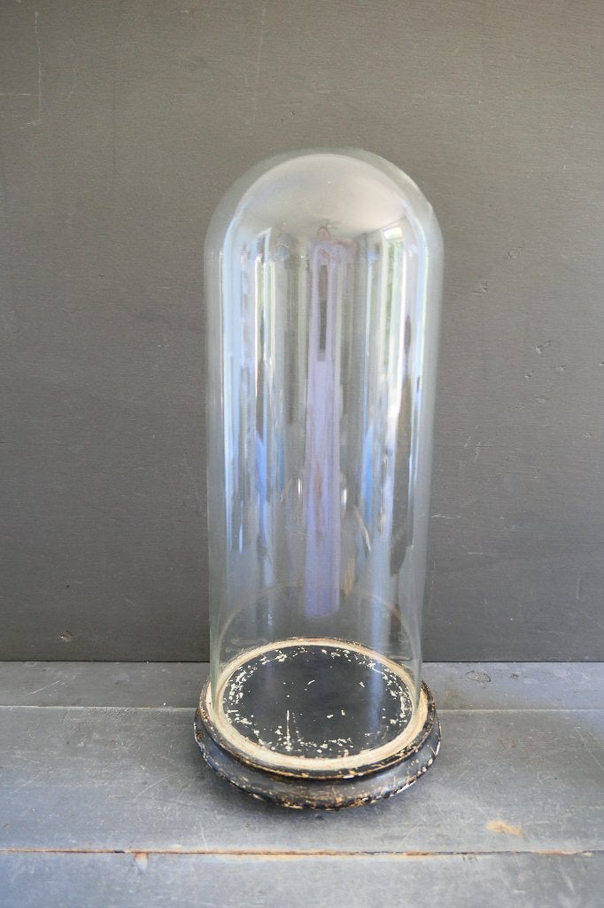 Antieke grote glazen handgeblazen stolp., Ophalen