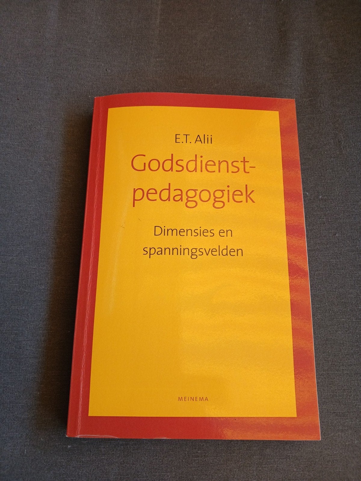 E.T. Alii - Godsdienstpedagogiek, Ophalen of Verzenden, Zo goed als nieuw, E.T. Alii
