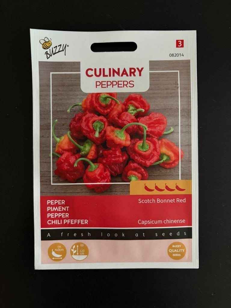Peper Scotch Bonnet Red Buzzy, Ophalen of Verzenden, Voorjaar, Volle zon, Zaad