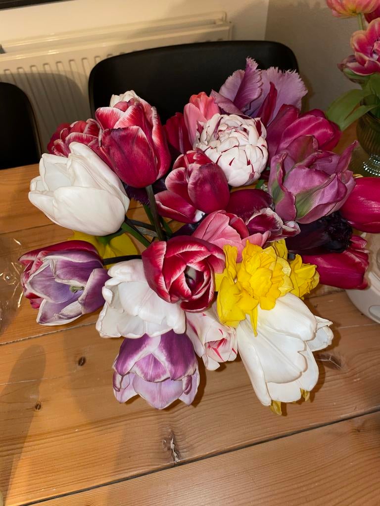 Luxe Voorjaarsboeket (20 stuks) – Vers geplukt & Uniek, Tuin en Terras, Planten | Tuinplanten, Volle zon, Eenjarig, Lente, Ophalen