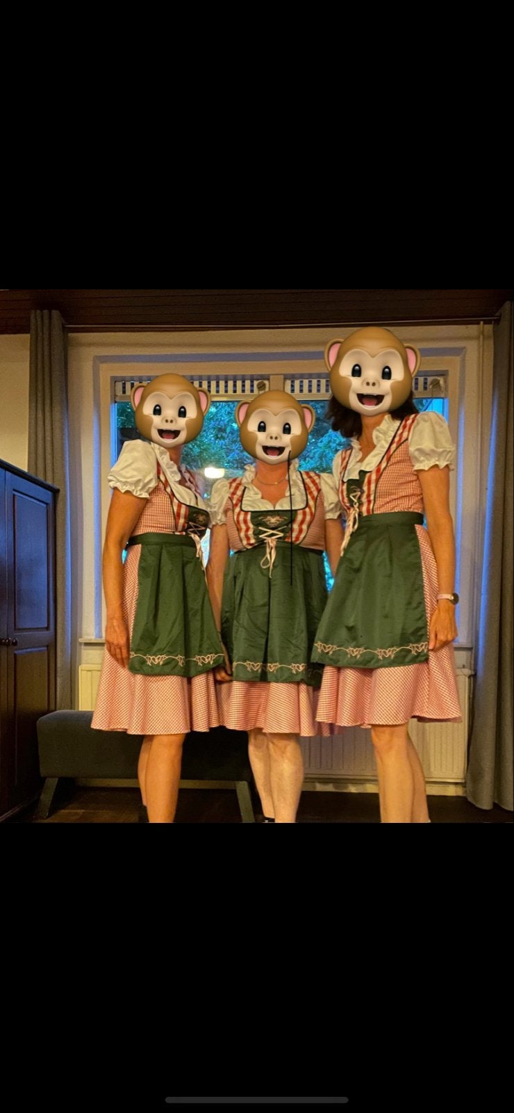 Dirndl jurk Oktoberfest kostuum, Maat 42/44 (L), Ophalen of Verzenden, Kleding, Overige thema's
