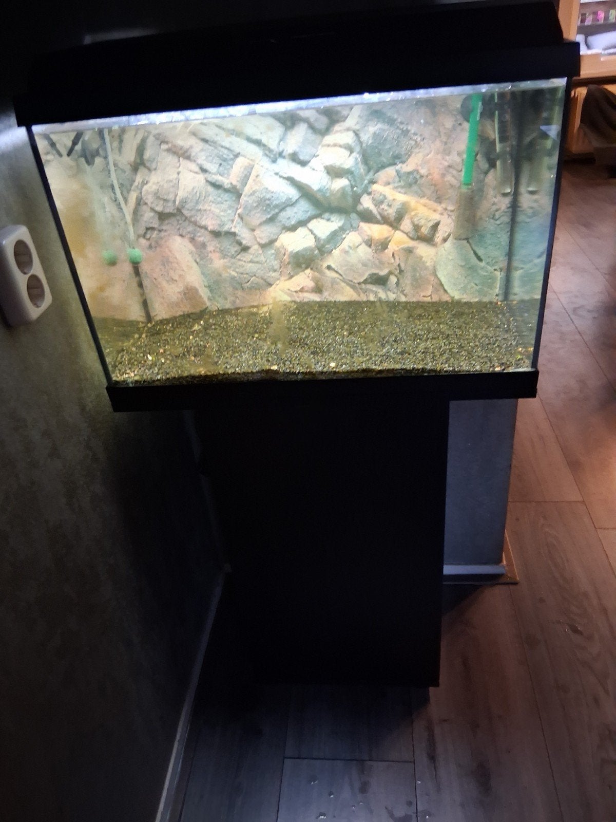 Compleet aqauruim 60cm, Ophalen, Gebruikt, Inclusief deksel, Leeg aquarium