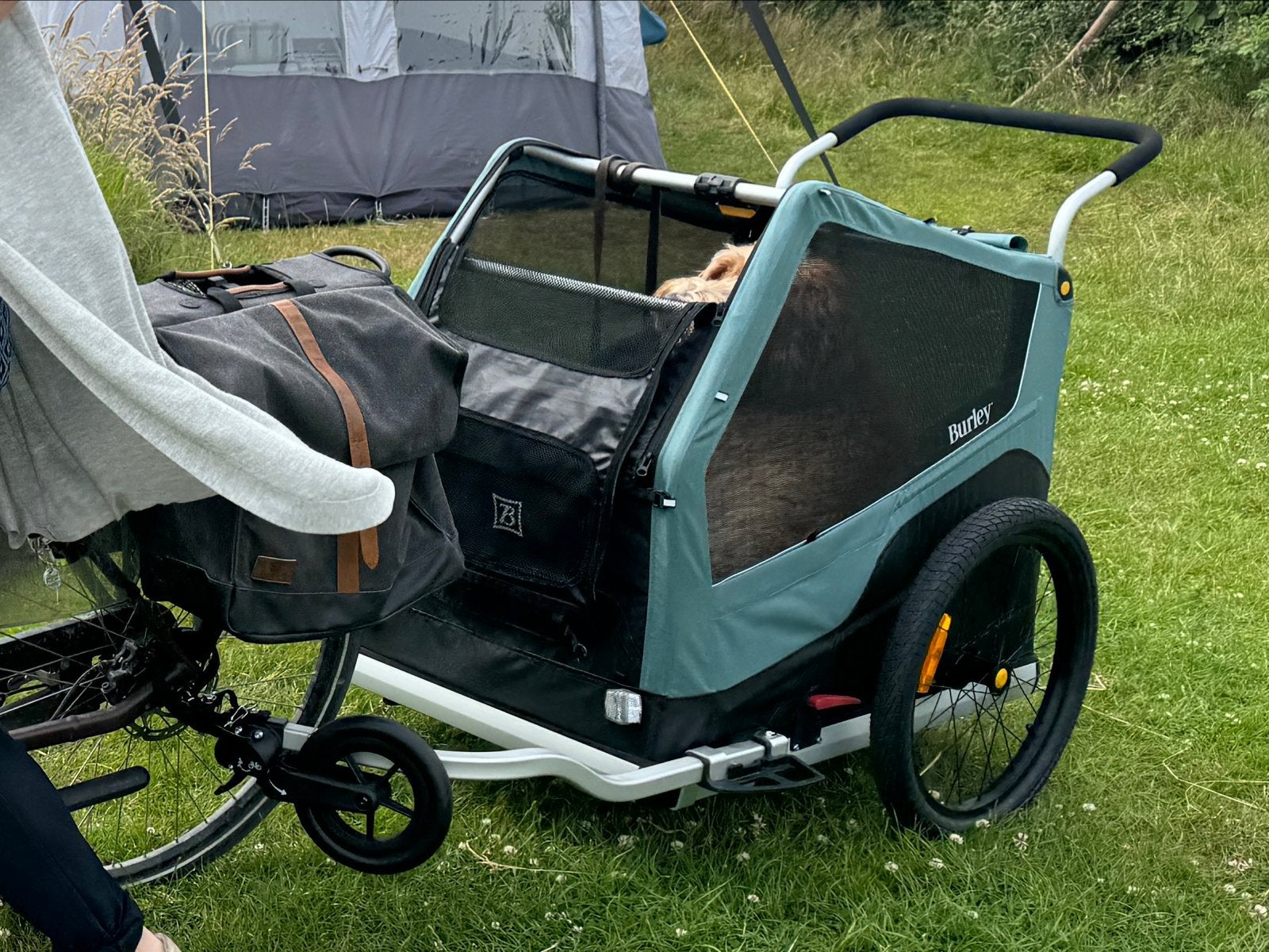 Burley Bark Ranger XL Hondenkar - Zo goed als nieuw, Fietsen en Brommers, Fietsaccessoires | Aanhangers en Karren, Ophalen, Opvouwbaar