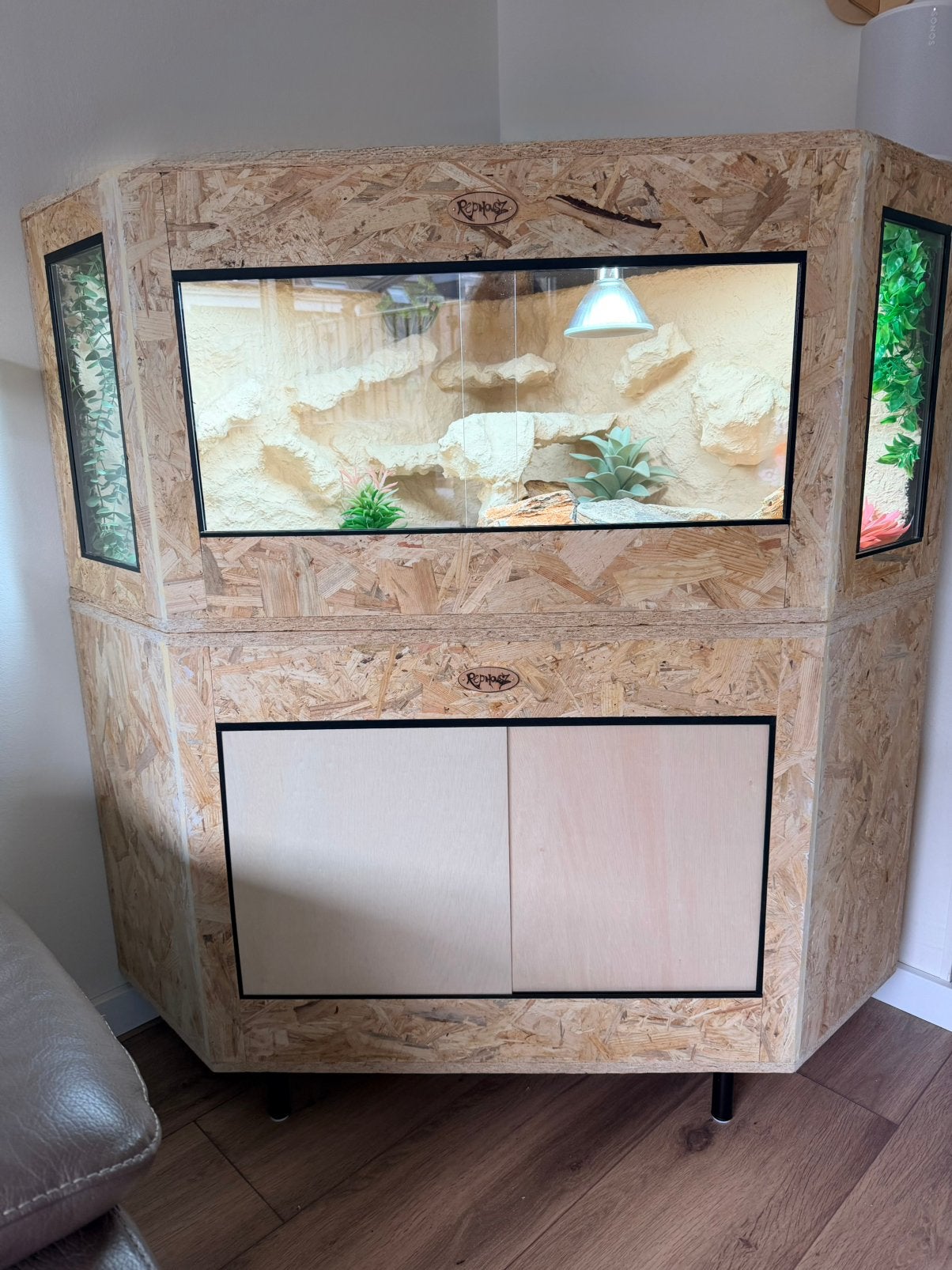 Grote osb hoek terrarium met onderkast, thermostaat enz, Ophalen, Zo goed als nieuw, Terrarium of Paludarium
