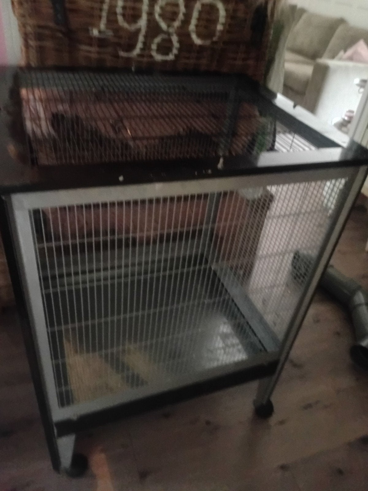 Ratten / fretten kooi zipper 3 montagna 558, Ophalen, Kooi, Gebruikt, 90 cm of meer