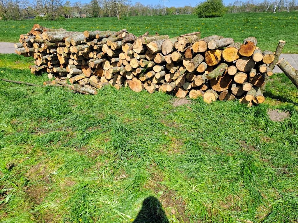 5 kuub haardhout, Tuin en Terras, Haardhout, 3 tot 6 m³, Ophalen, Elzenhout, Stammen
