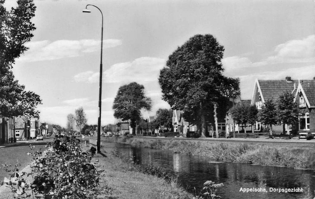 703-028-027 Appelscha Dorpsgezicht, Ophalen of Verzenden, Voor 1920, Friesland