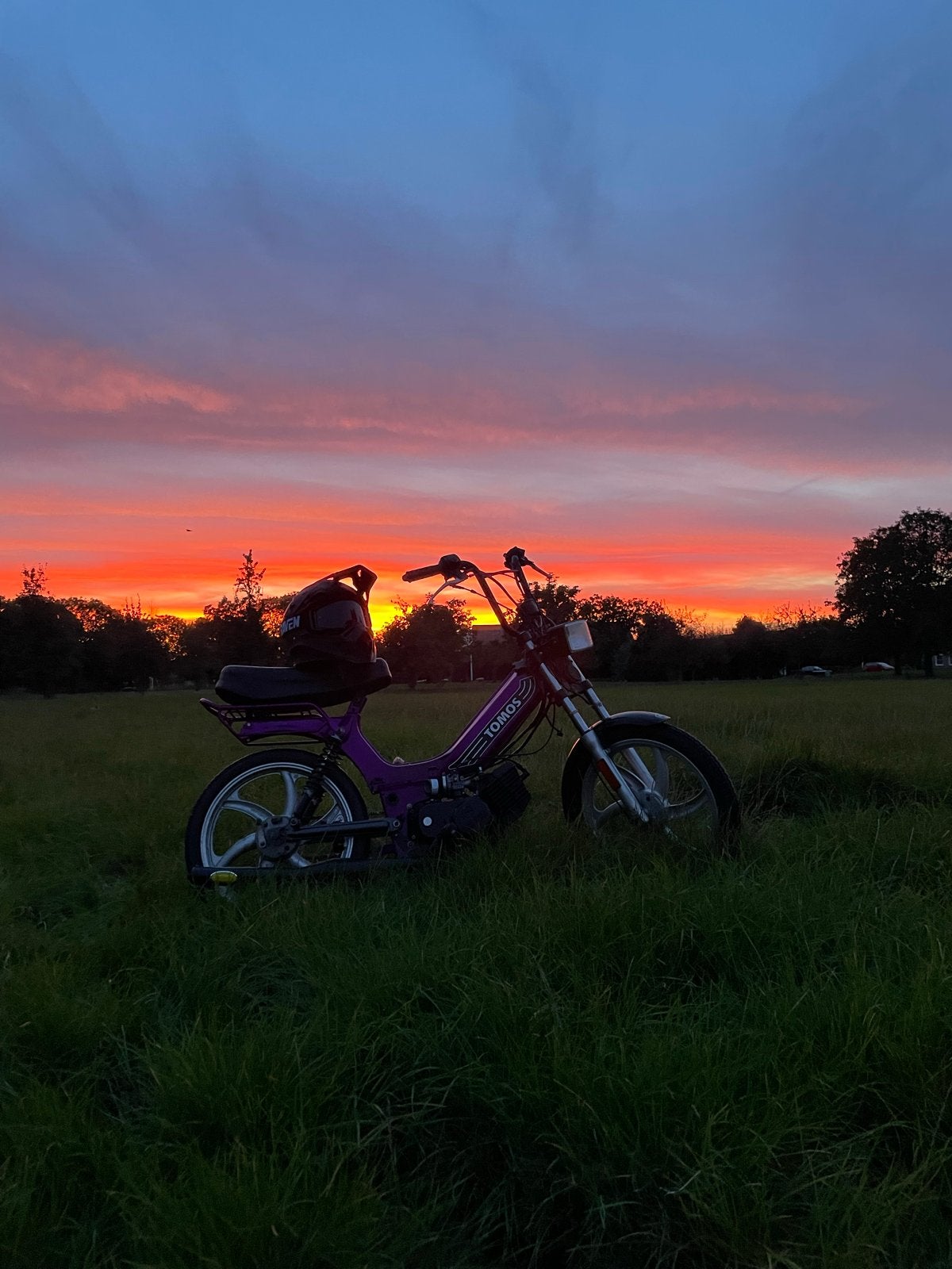 Tomos 50cc Brommer - Perfect voor de zomer!, Fietsen en Brommers, Ophalen, Overige modellen, Maximaal 45 km/u, Zo goed als nieuw