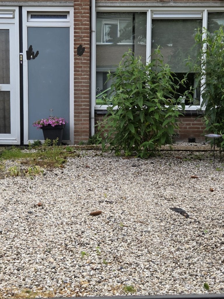Grind kiezelsteentjes, Ophalen, Gebruikt, Grind