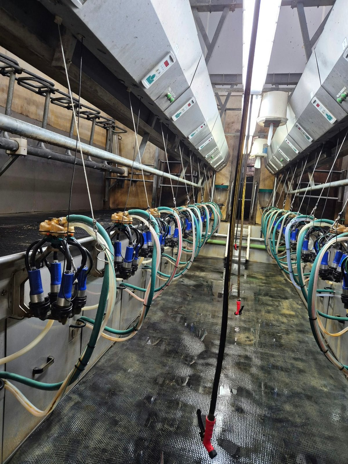 Zij-aan-zij melkstal 2x9, Ophalen of Verzenden, Veehouderij, Stalinrichting