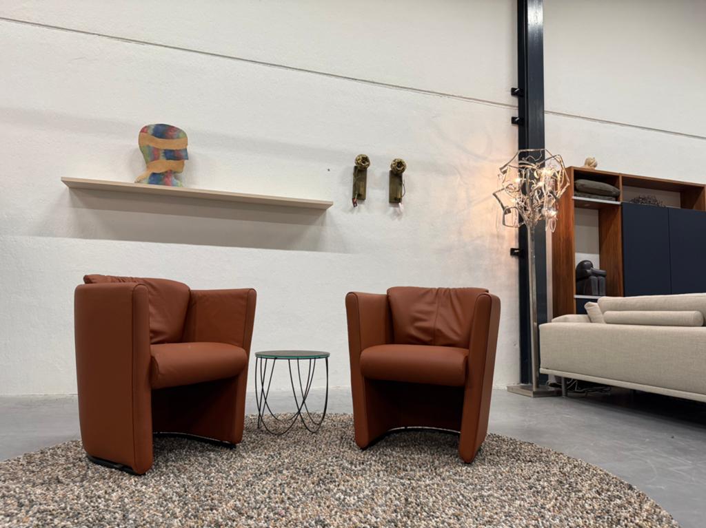 2 Nieuw Leolux Suva Fauteuils Wapiti Hawk leer design stoel
