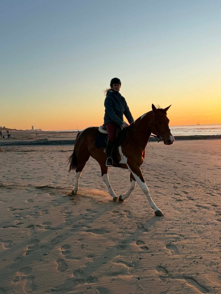 Paint(APHA) Quarter horses(AQHA), pleasure/allround, Dieren en Toebehoren, Paarden, Minder dan 160 cm, Met stamboom, Niet van toepassing
