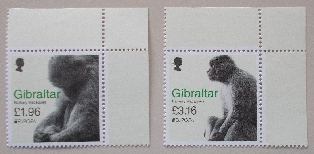 Gibraltar 2021 cept PF mich 2000-01, Ophalen of Verzenden, Overige landen, Postfris